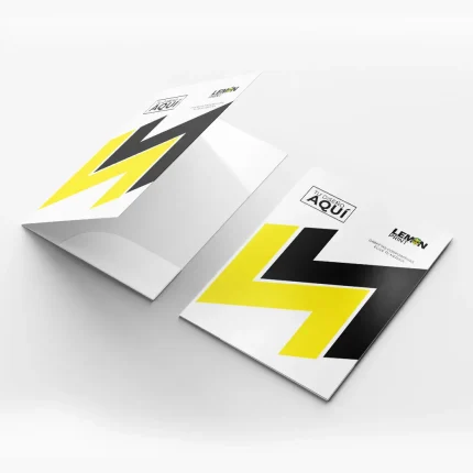 CARPETA CORPORATIVA EXPRESS